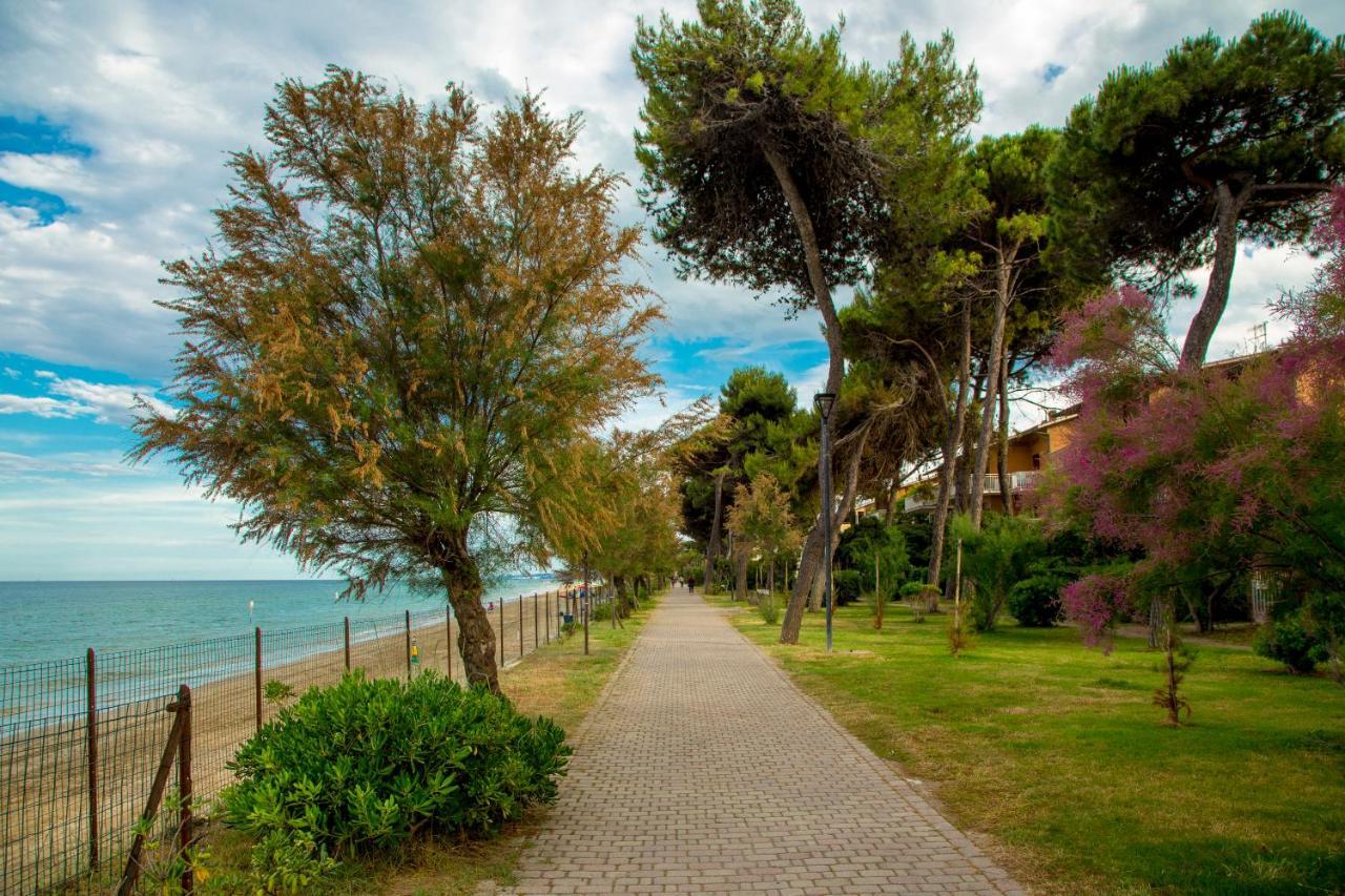 Albergo Il Veliero Pineto Esterno foto
